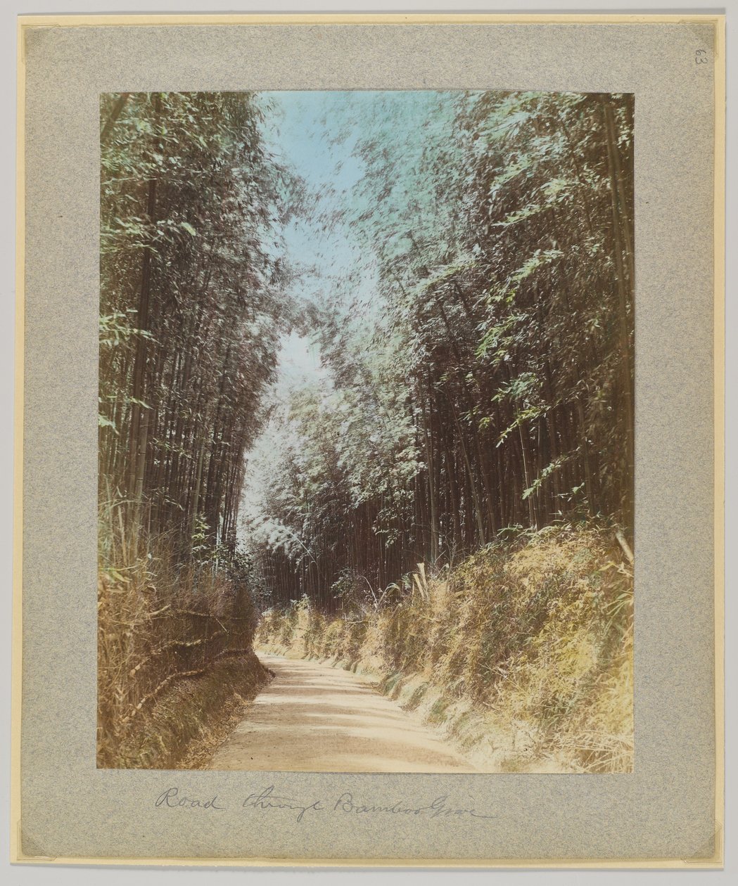 Weg door een bamboebos, Japan door Japanese Photographer