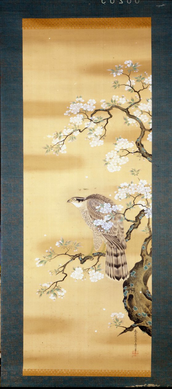 Valk op een tak van Japanse kersenbloesem. Zijdeschilderij uit de 18e eeuw van Japan. Genua. Museo Chiossone. door Japanese School