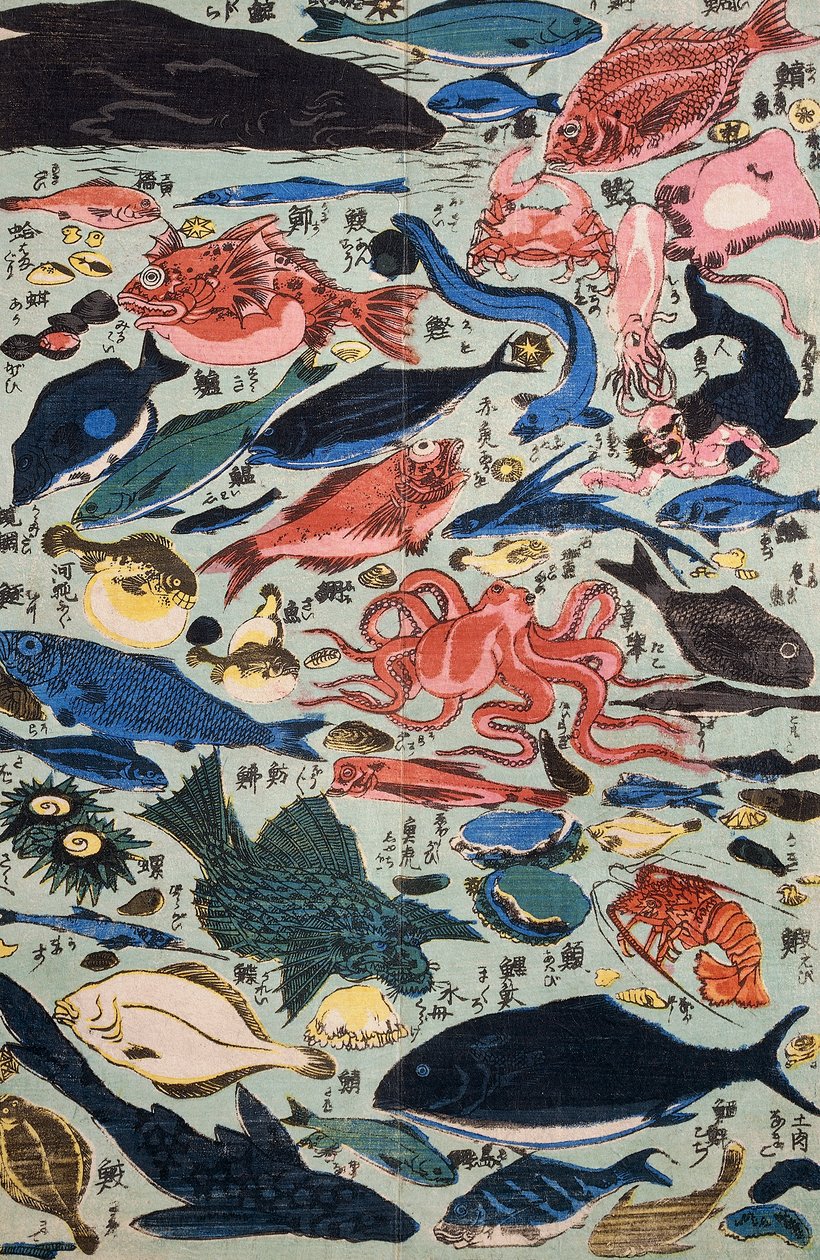 Verse vis, weekdieren en schaaldieren door Japanese School