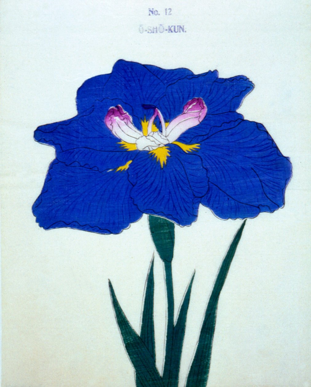 O-Sho-Kun, nr.12, 1898 door Japanese School