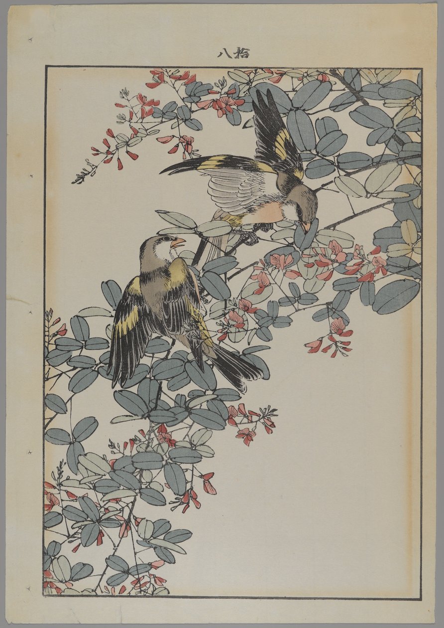 Twee vogels met roze bloemen, Meiji periode, ca. 1868-1912 door Japanese School