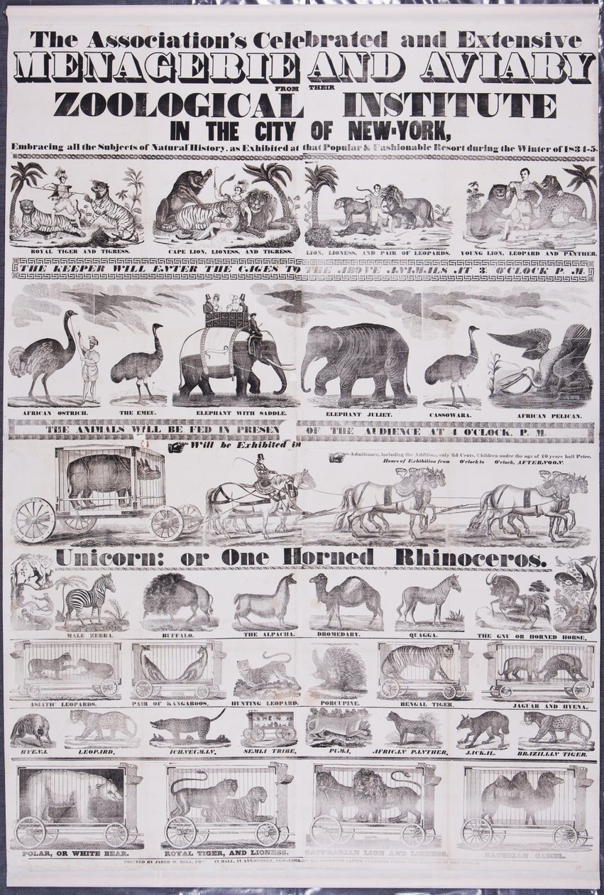 De beroemde en uitgebreide menagerie en volière van de Vereniging uit hun Zoölogisch Instituut in de stad New York door Jared W. Bell