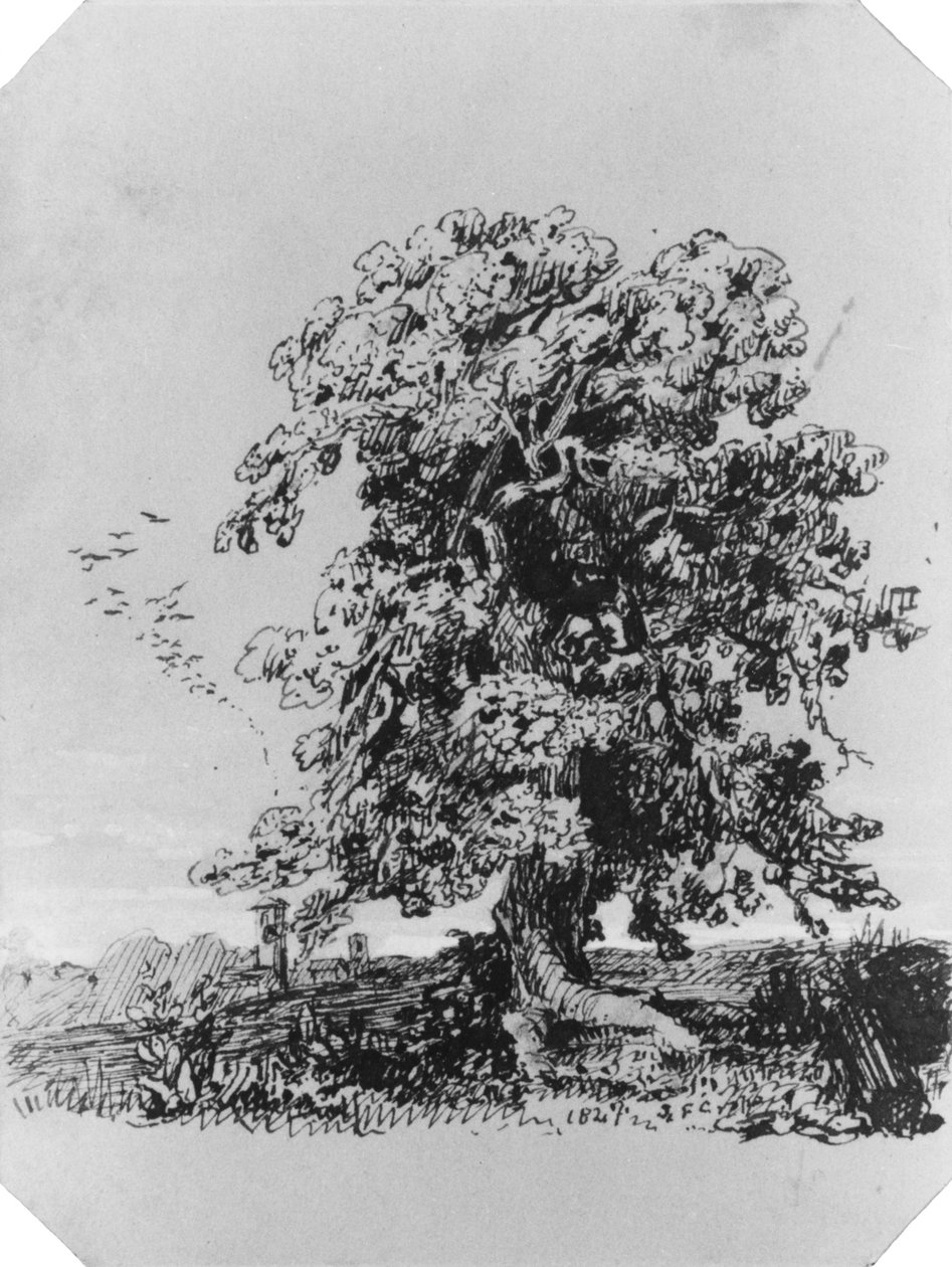 Landschap met boom en een dorp in de verte (uit het Cropsey-album) door Jasper Francis Cropsey