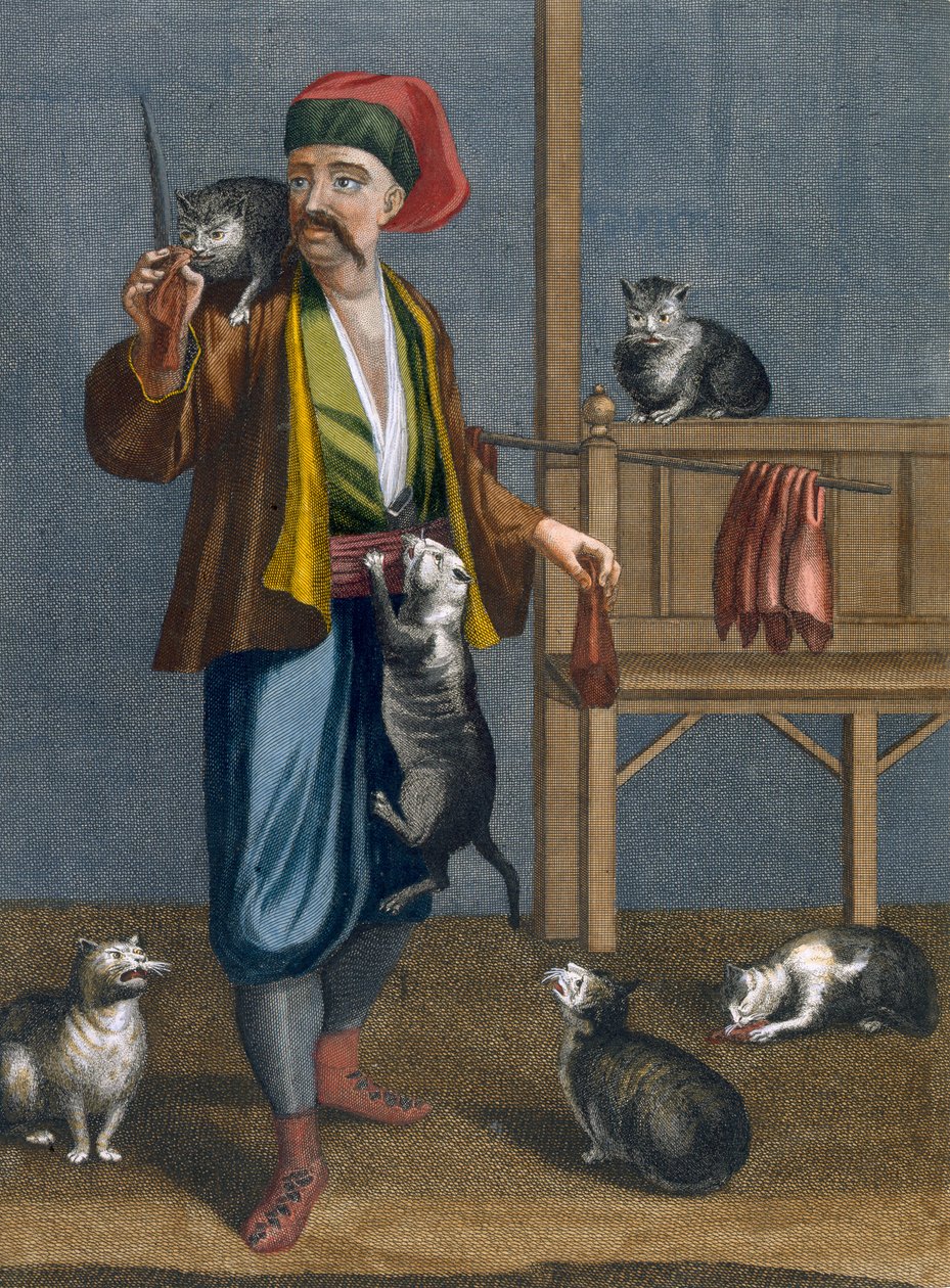 Kattenvoeder, plaat uit 