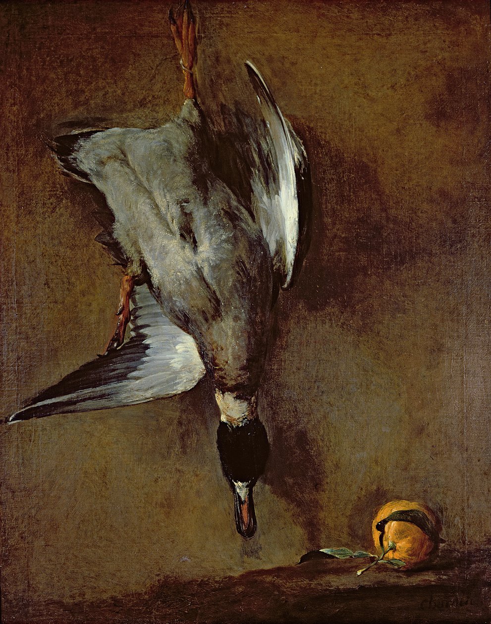 Een wilde eend aan de muur met een Sevilla-sinaasappel, 1720-30 door Jean Baptiste Simeon Chardin