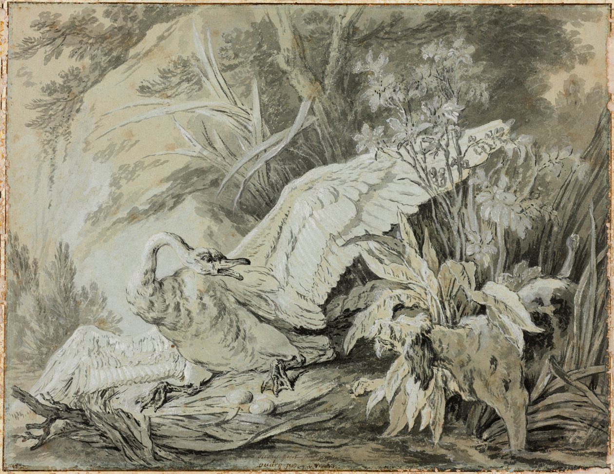 Een wilde zwaan aangevallen door een hond door Jean-Baptiste Oudry