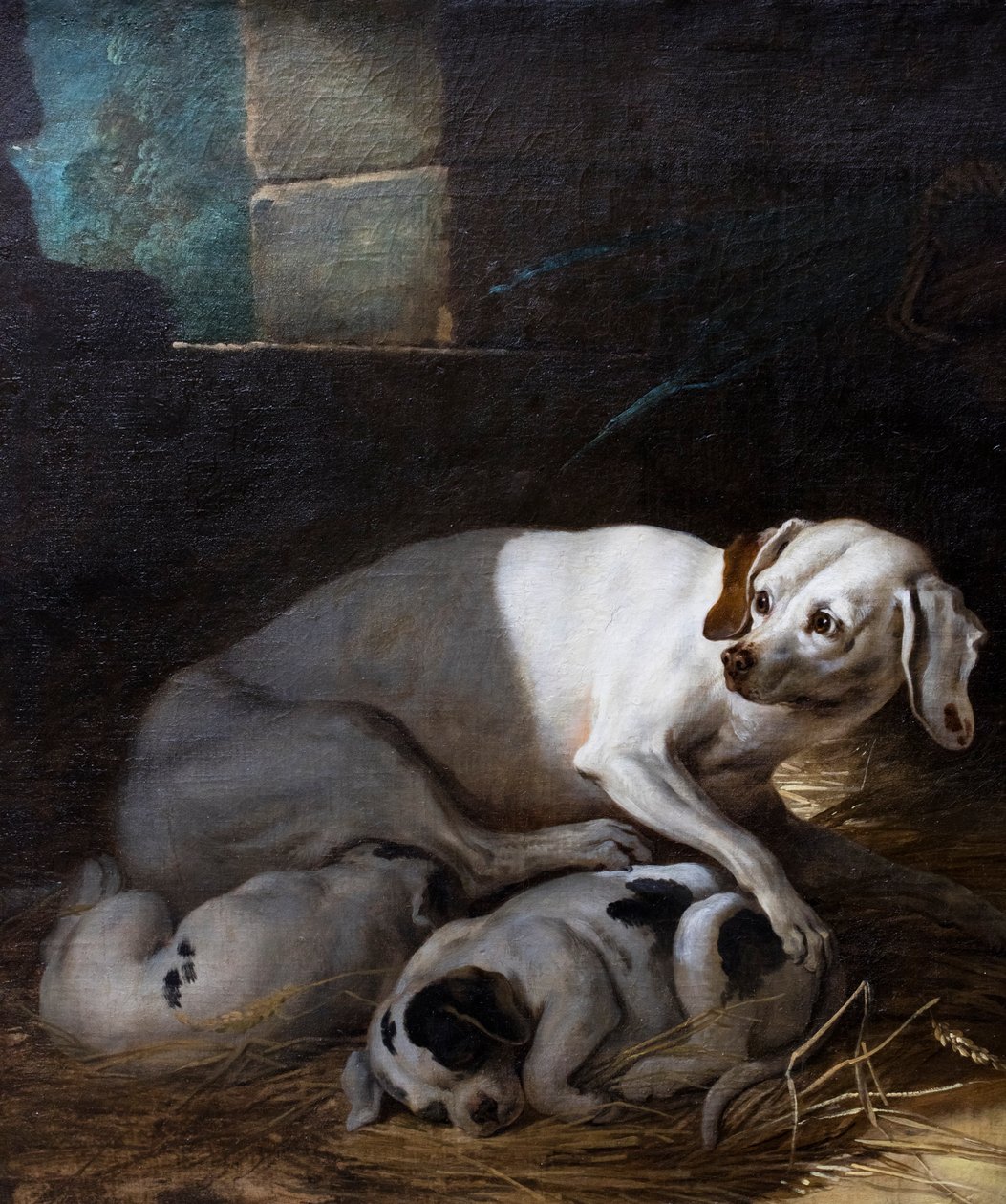 Hond die haar jong verzorgt door Jean-Baptiste Oudry