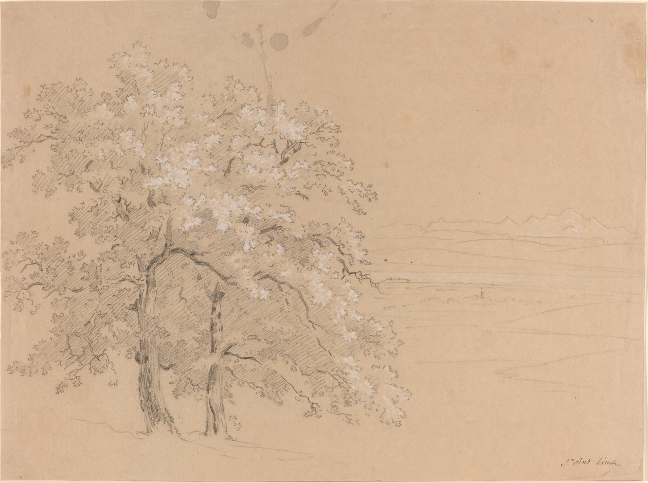 Zonovergoten Bomen Voor een Panoramisch Landschap door Jean Antoine Linck