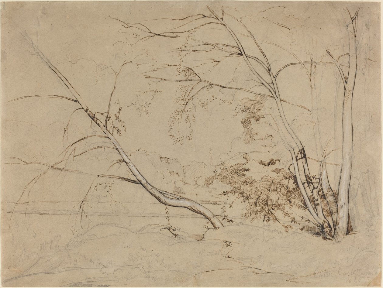 Boomgroep bij Civita Castellana, 1826 door Jean Baptiste Camille Corot