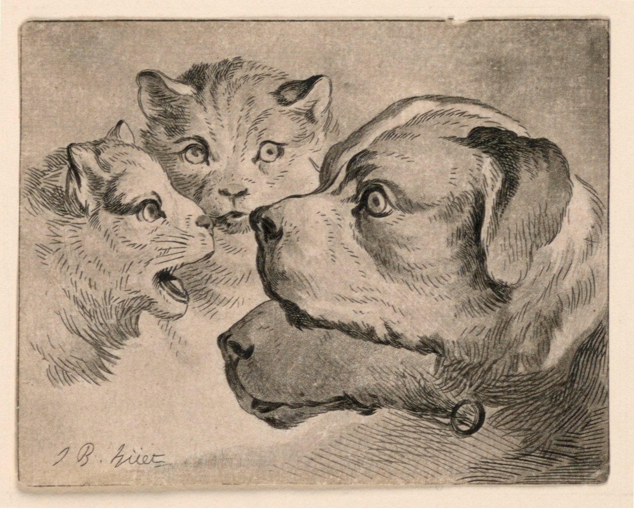 Koppen van katten en honden door Jean-Baptiste Huet