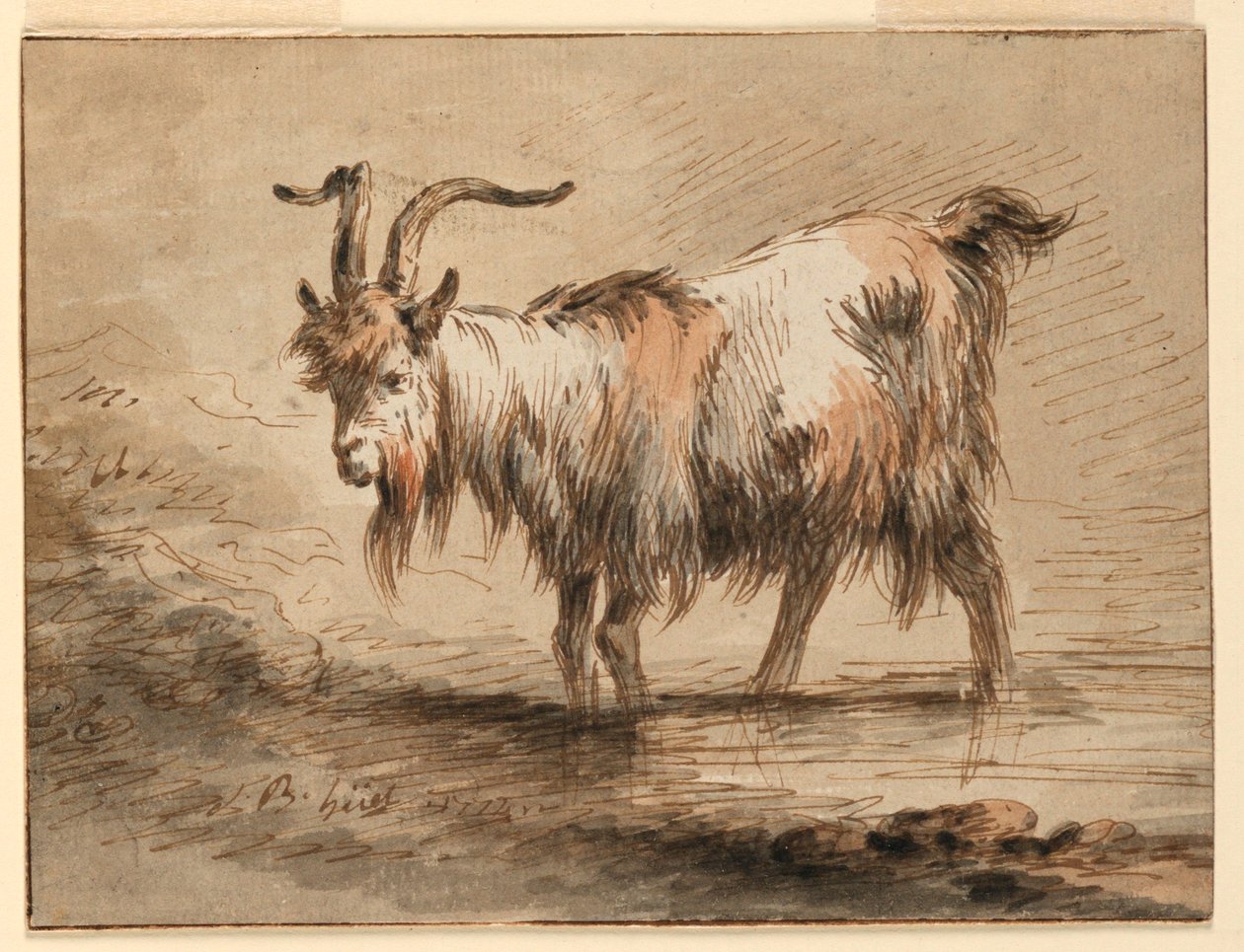 Tekening, Studie van een geit, 1772 door Jean-Baptiste Huet