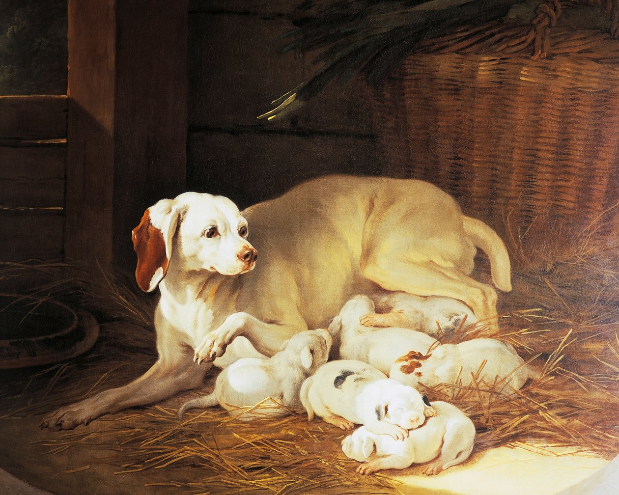 Teef die puppy