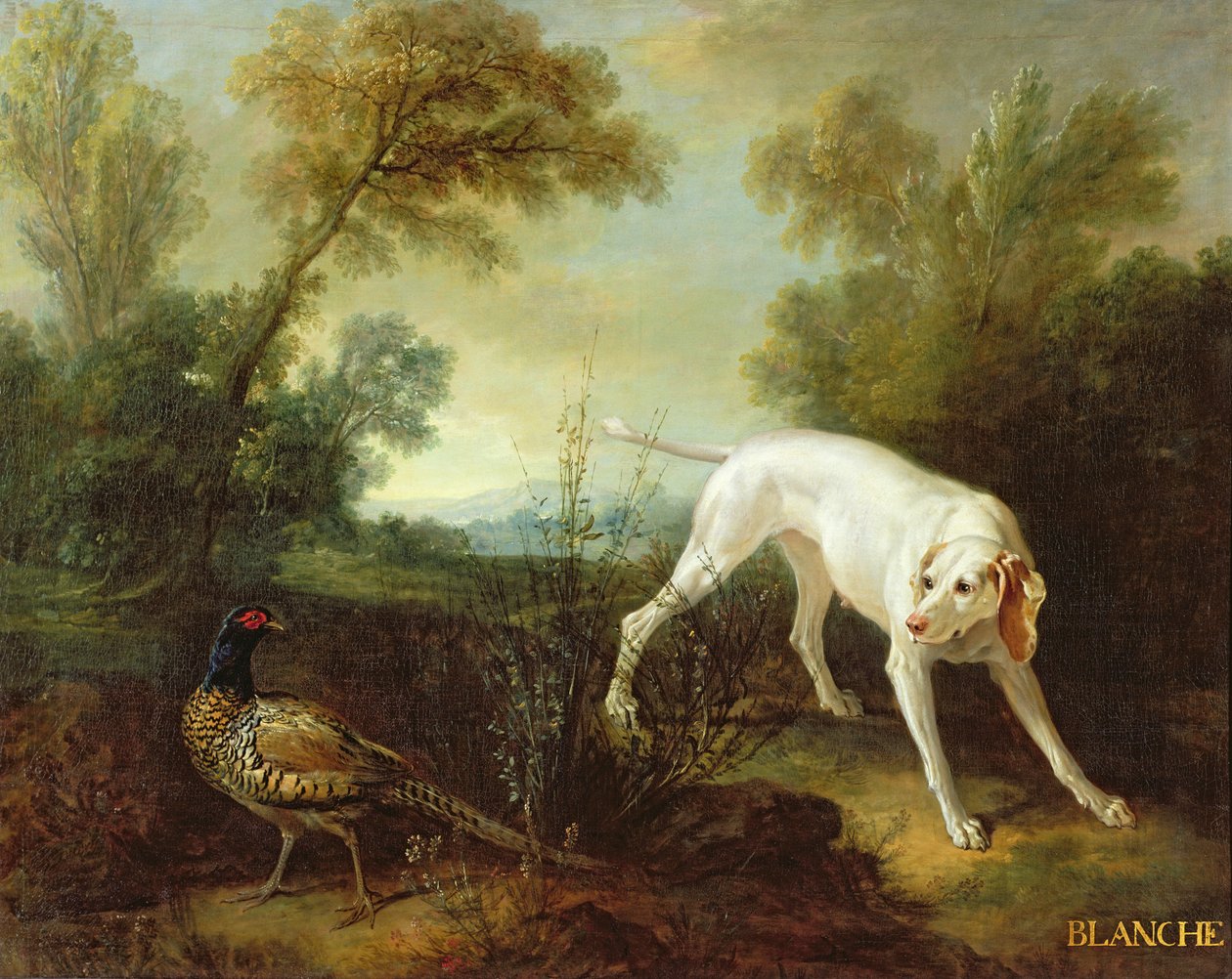 Blanche, teef van de koninklijke jachtmeute door Jean Baptiste Oudry