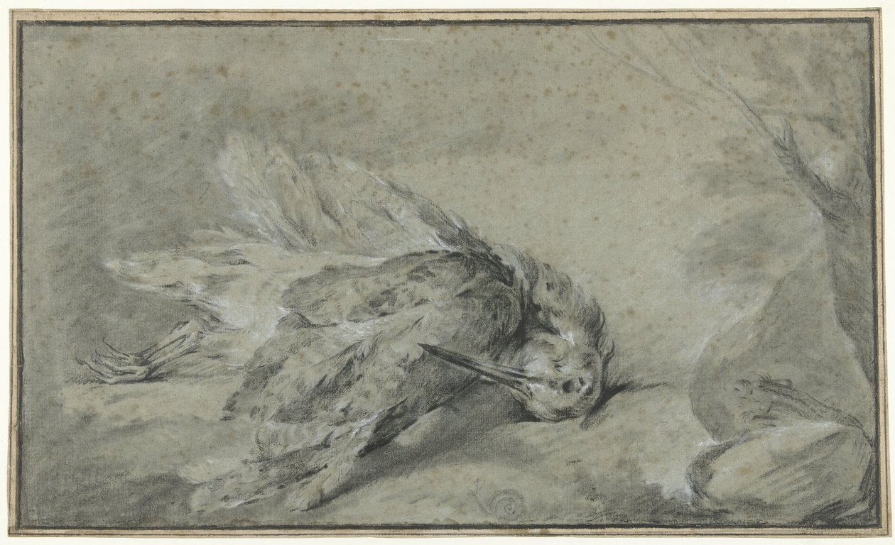 Dode houtsnip (Scolopax rusticola) door Jean Baptiste Oudry