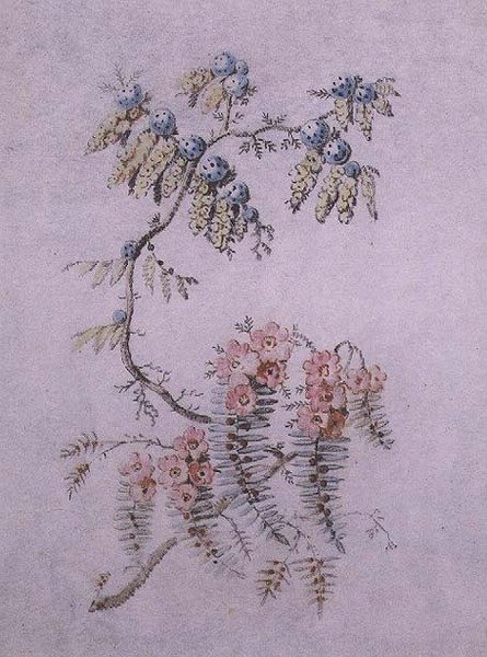 Decoratieve studie van bloemen en bessen door Jean Baptiste Pillement