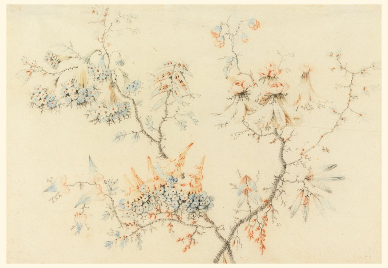 Tekening, Bloeiende takken, 1775-1800 door Jean Baptiste Pillement
