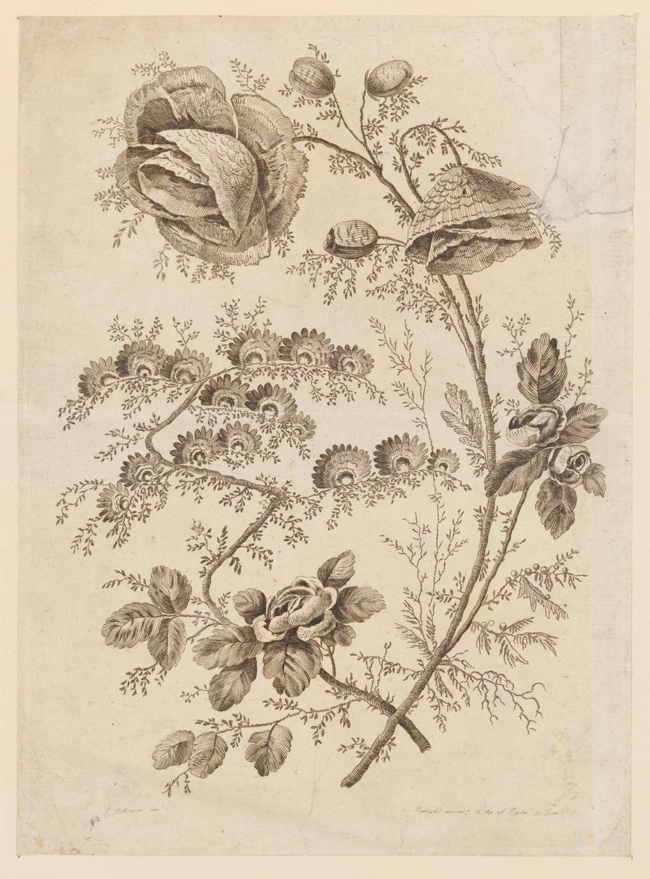 Bloementak, uit "Cahier de Fleurs Singuliers" door Jean Baptiste Pillement