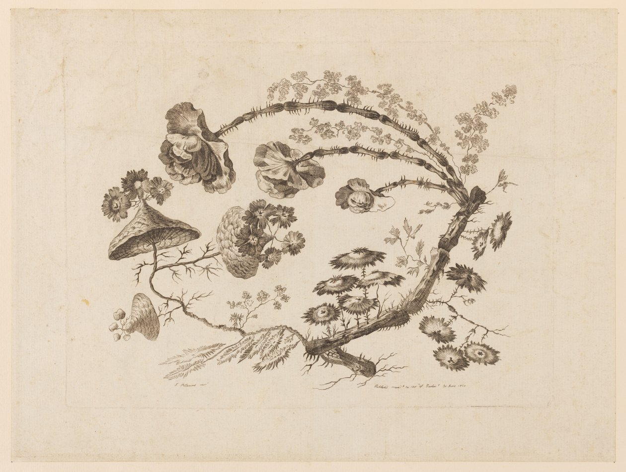 Bloemtakken, uit "Recueil de Differentes Fleurs de Fantaisie Dans le Goût Chinois" door Jean Baptiste Pillement
