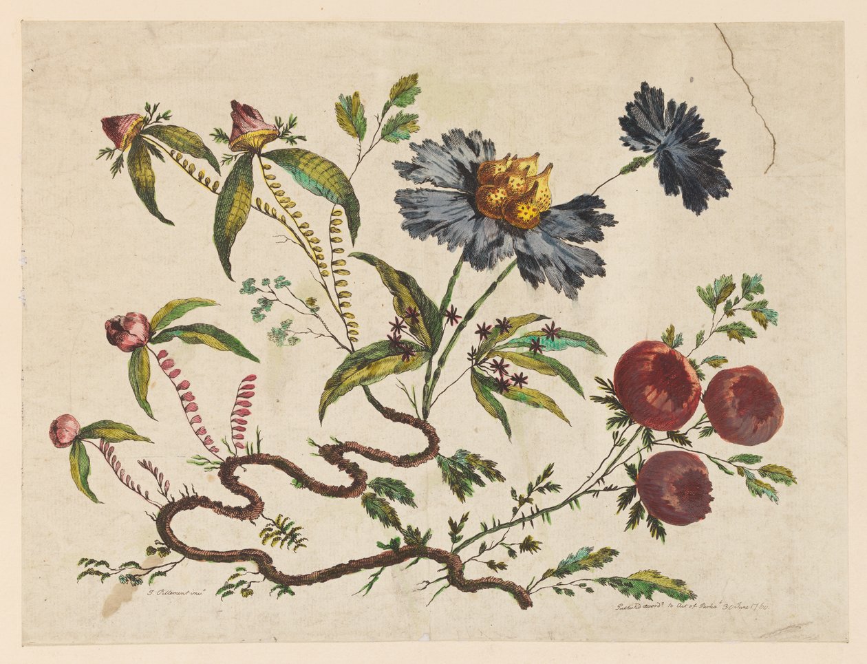 Bloemtakken, uit "Recueil de Differentes Fleurs de Fantaisie Dans le Goût Chinois" door Jean Baptiste Pillement
