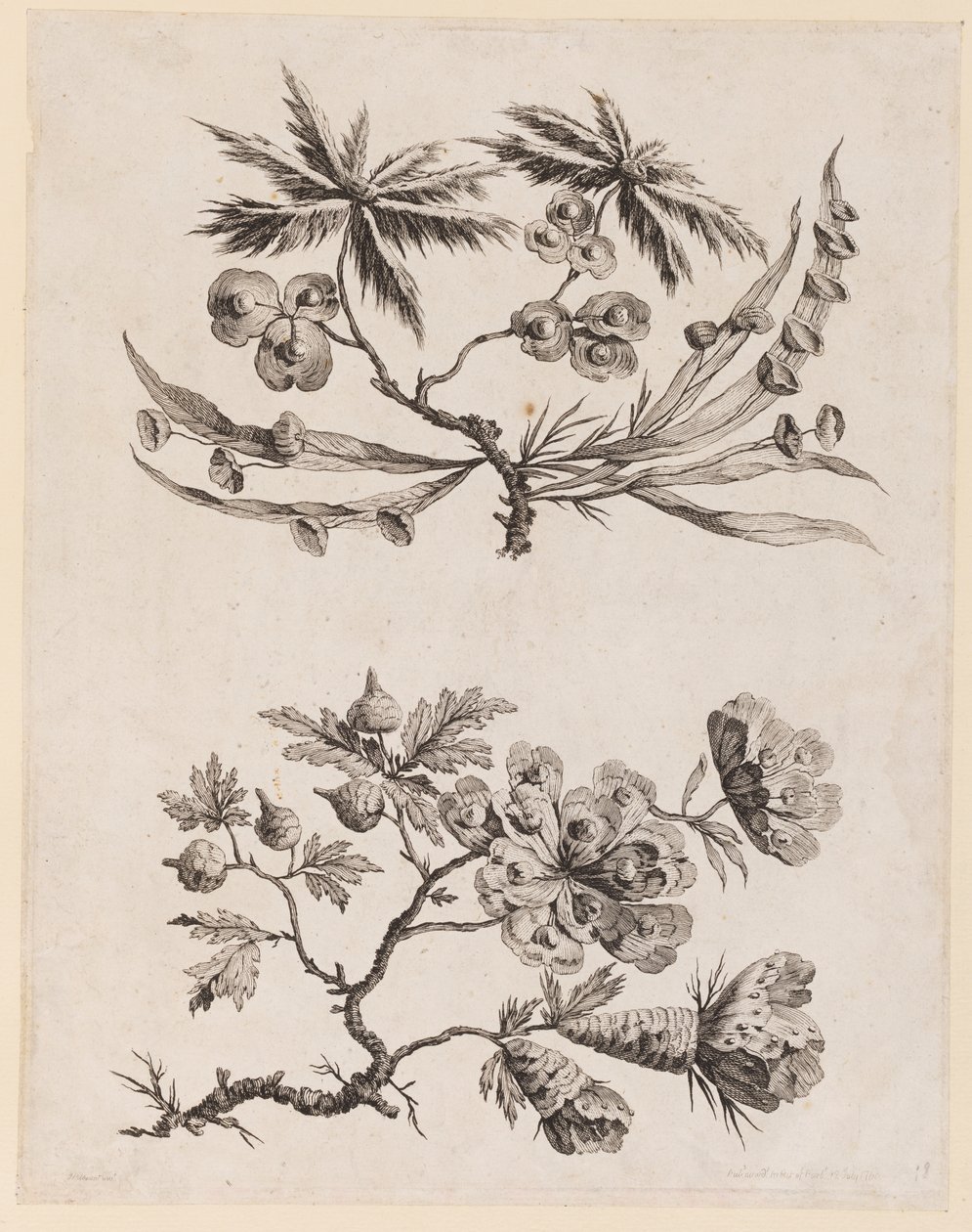 Bloemtakken uit, "Recueil de Fleurs Chinois" door Jean Baptiste Pillement