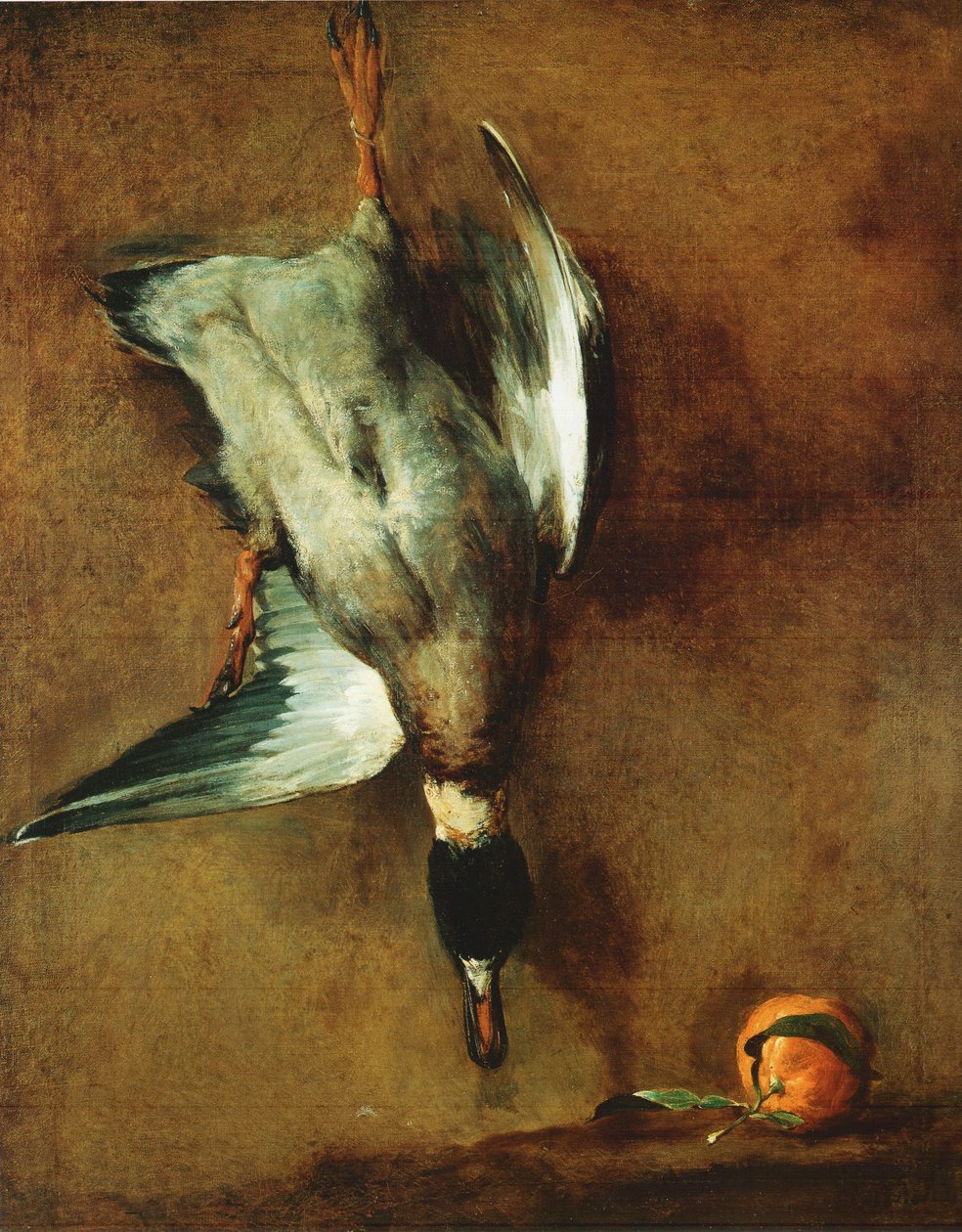 Een groennek eend vastgebonden aan de muur en een maagdenpalm door Jean Baptiste Simeon Chardin