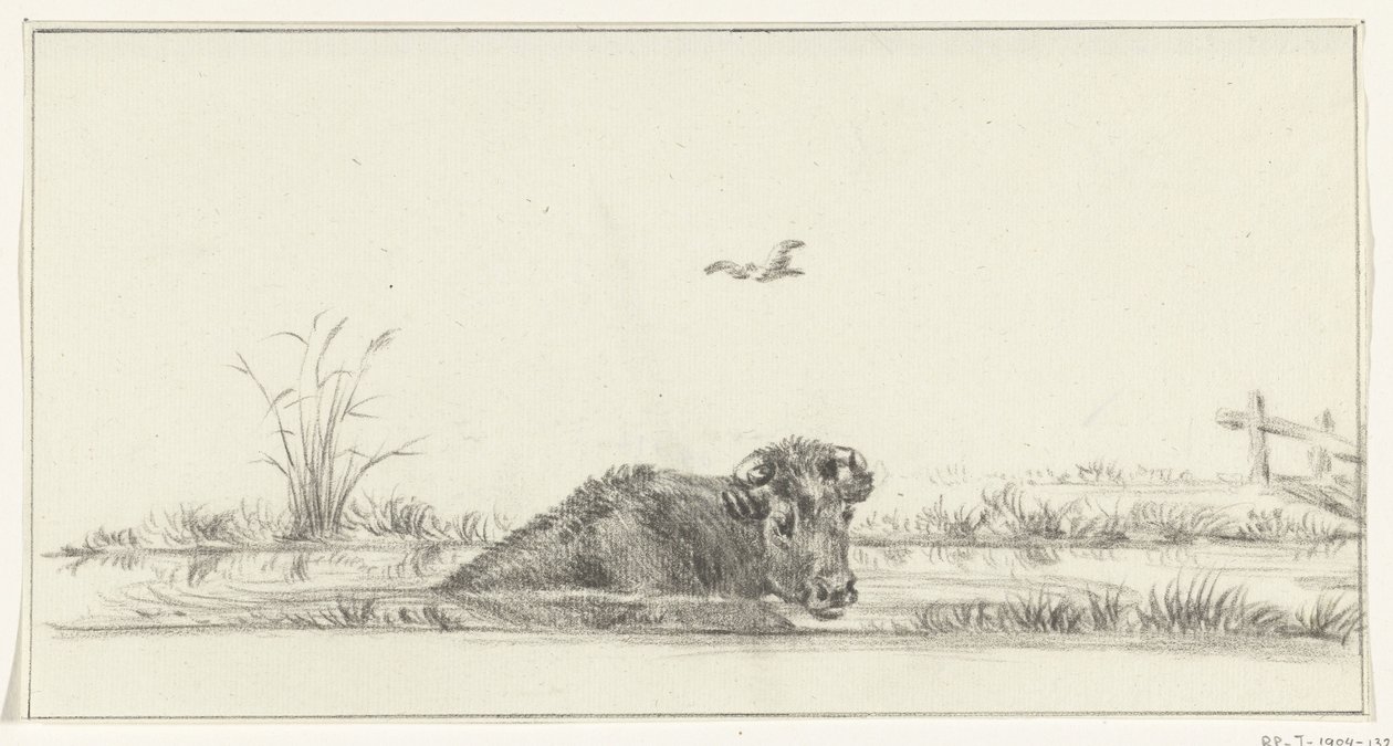 Koe in het water door Jean Bernard