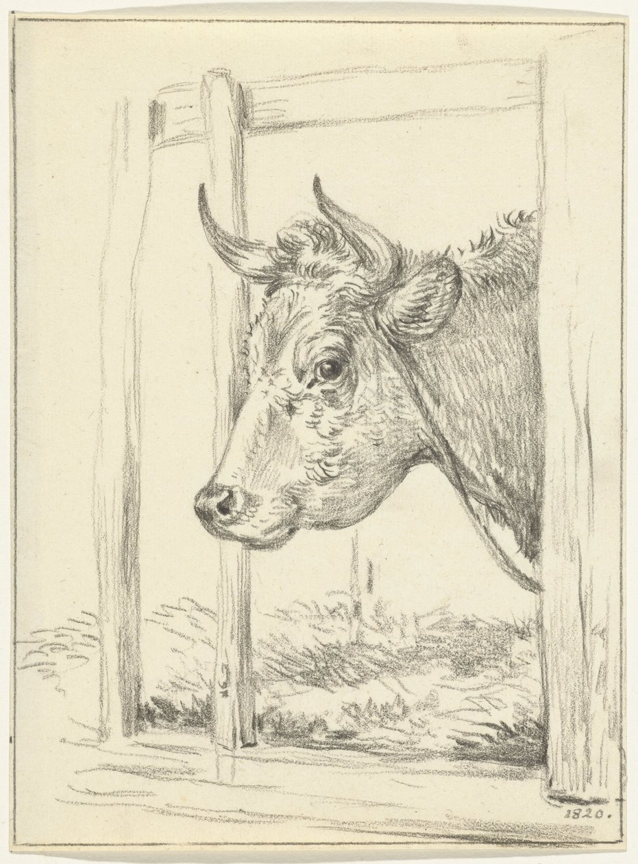 Kop van een koe, in een stal, naar links door Jean Bernard