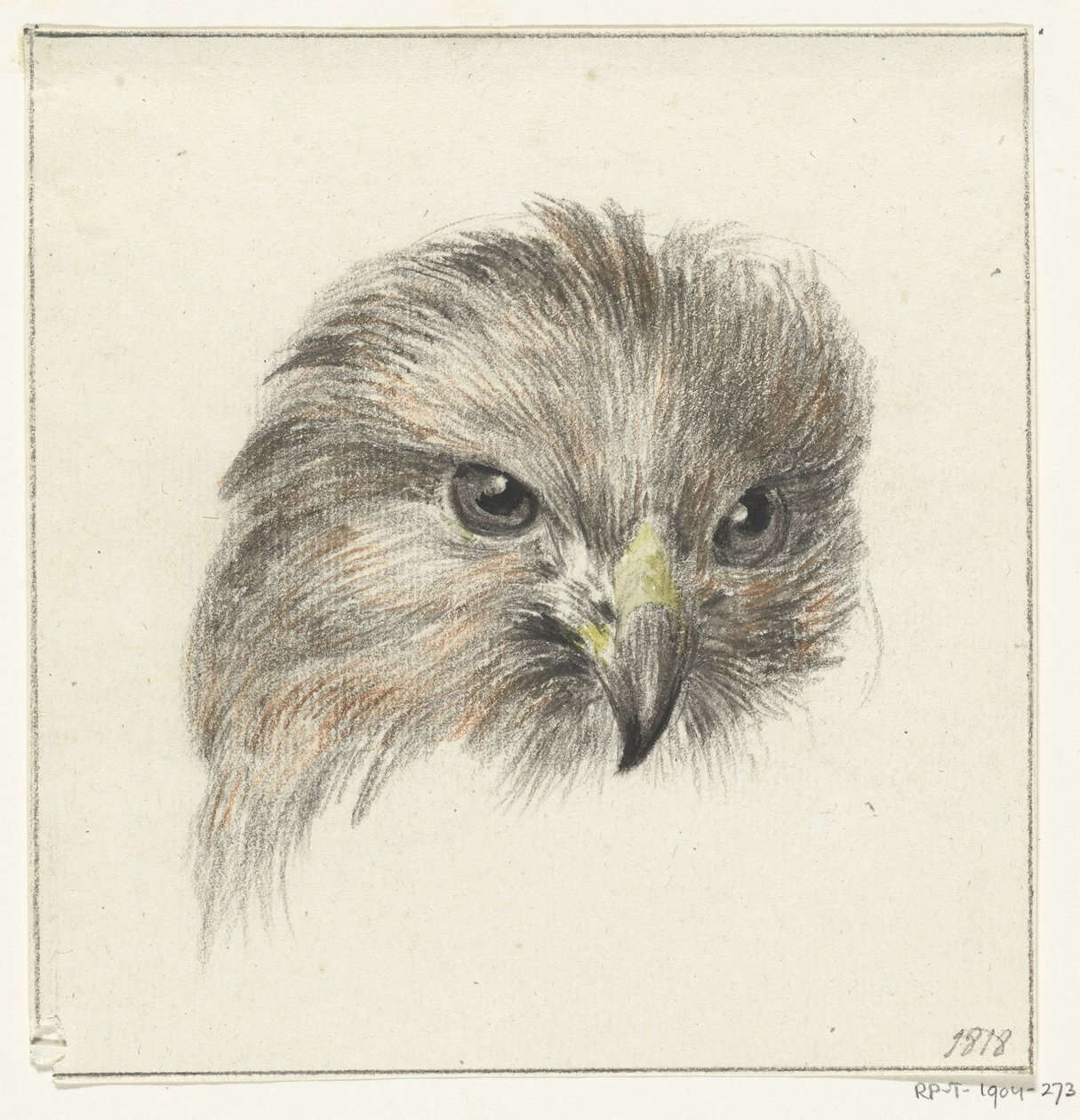 Kop van een roofvogel door Jean Bernard