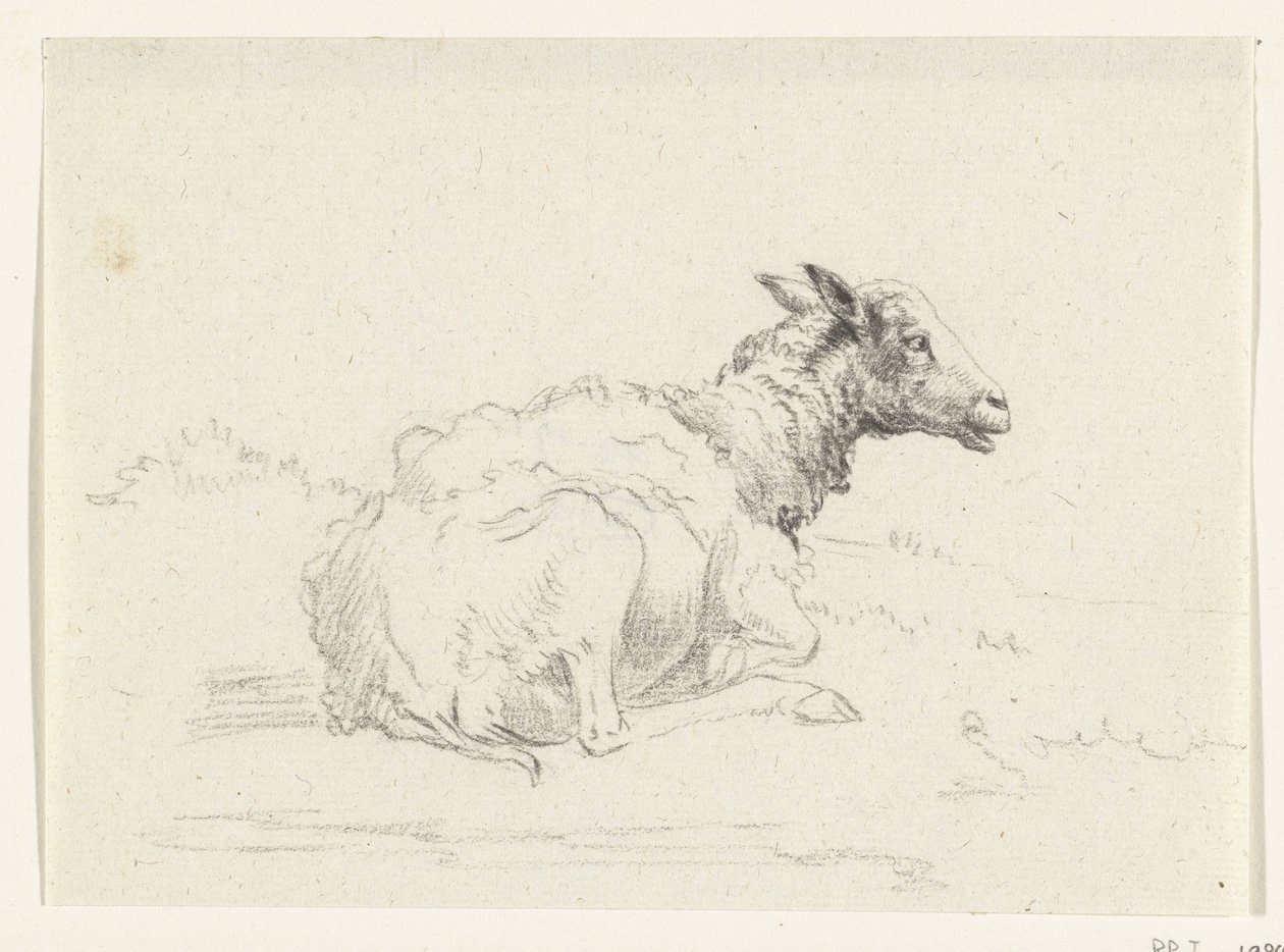 Liggend schaap, naar rechts door Jean Bernard