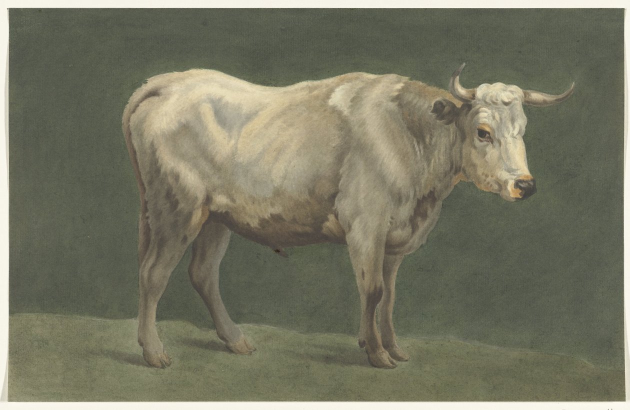 Staande stier, naar rechts door Jean Bernard