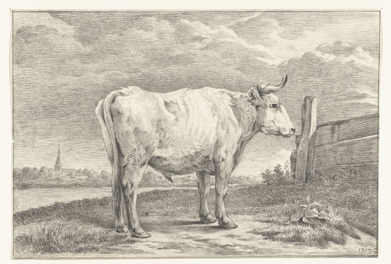 Staande stier, naar rechts door Jean Bernard
