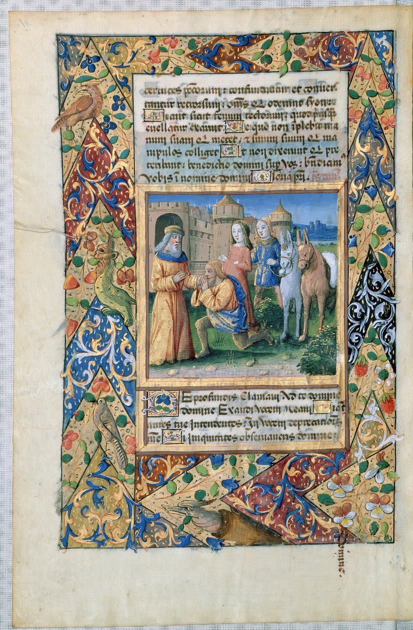 Ms Lat. Q.v.I.126 Scène uit de 