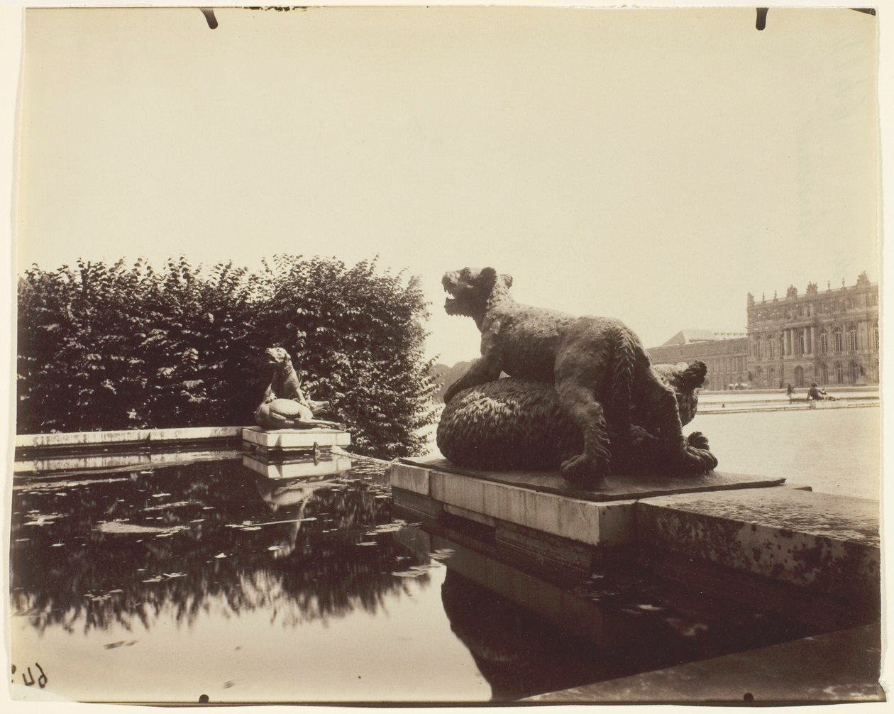 Versailles, Fontaine du Point du Jour, (Tigre Terrassant un Ours van Houzeau) door Jean Eugène Auguste Atget