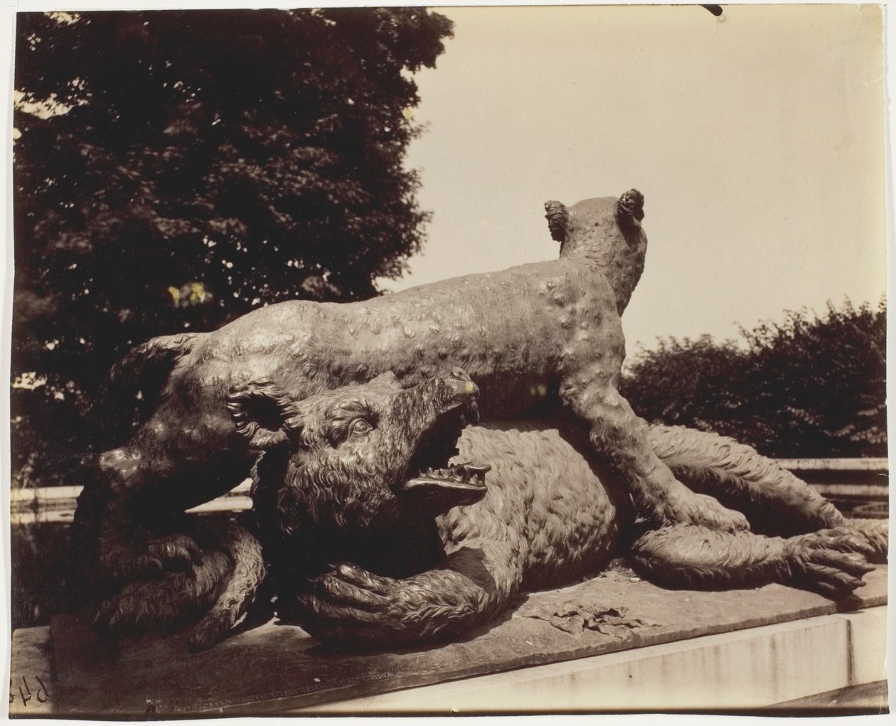Versailles, Fontaine du Point du Jour, (Tigre Terrassant un Ours van Houzeau) door Jean Eugène Auguste Atget