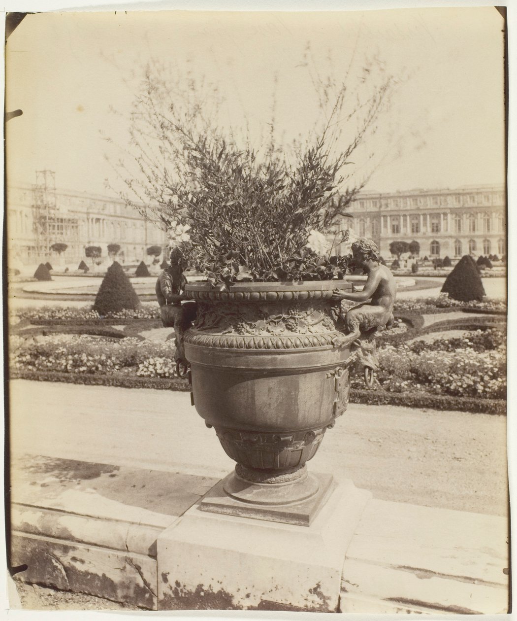 Versailles, vaas van Ballin door Jean Eugène Auguste Atget