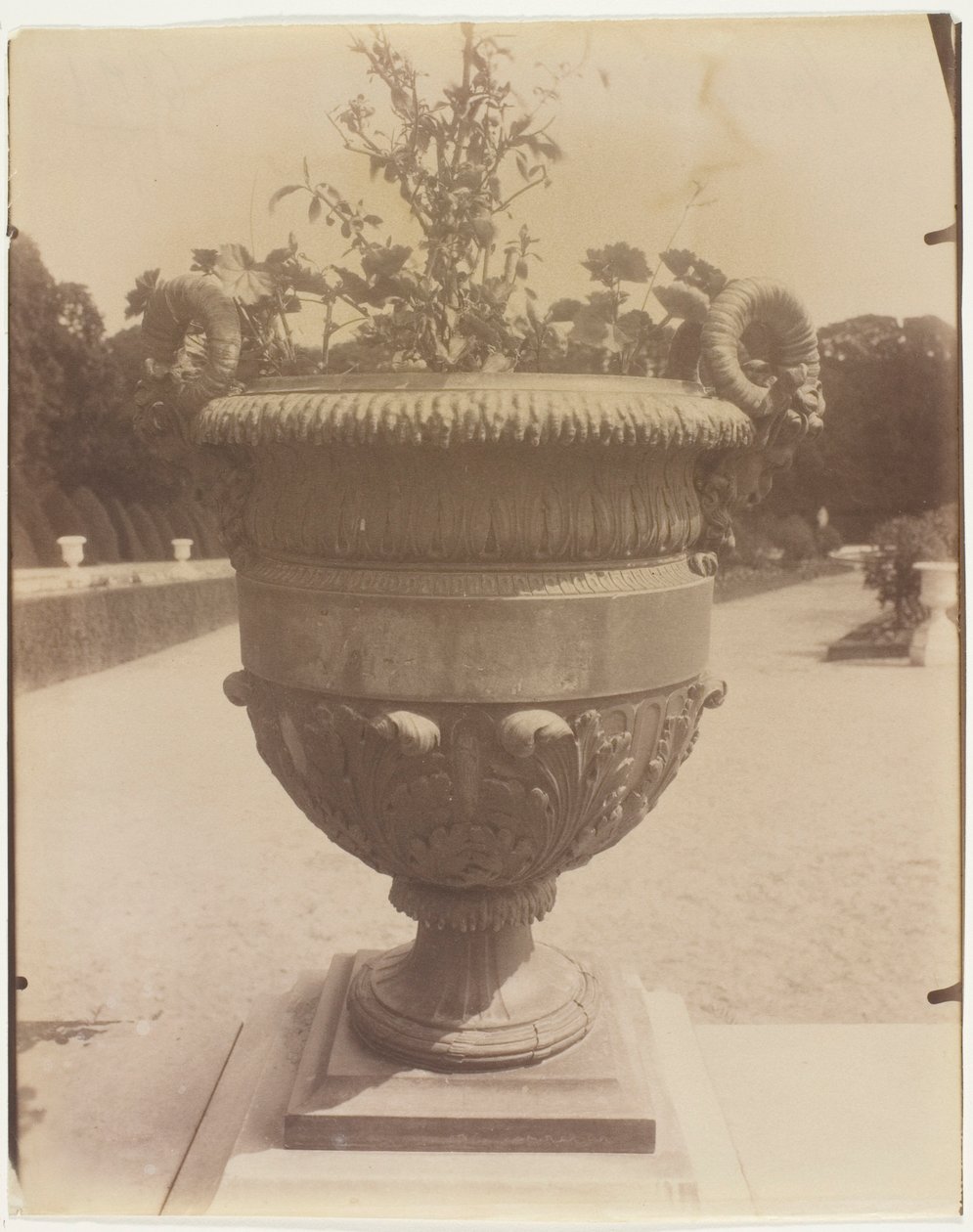 Versailles, vaas van Ballin door Jean Eugène Auguste Atget