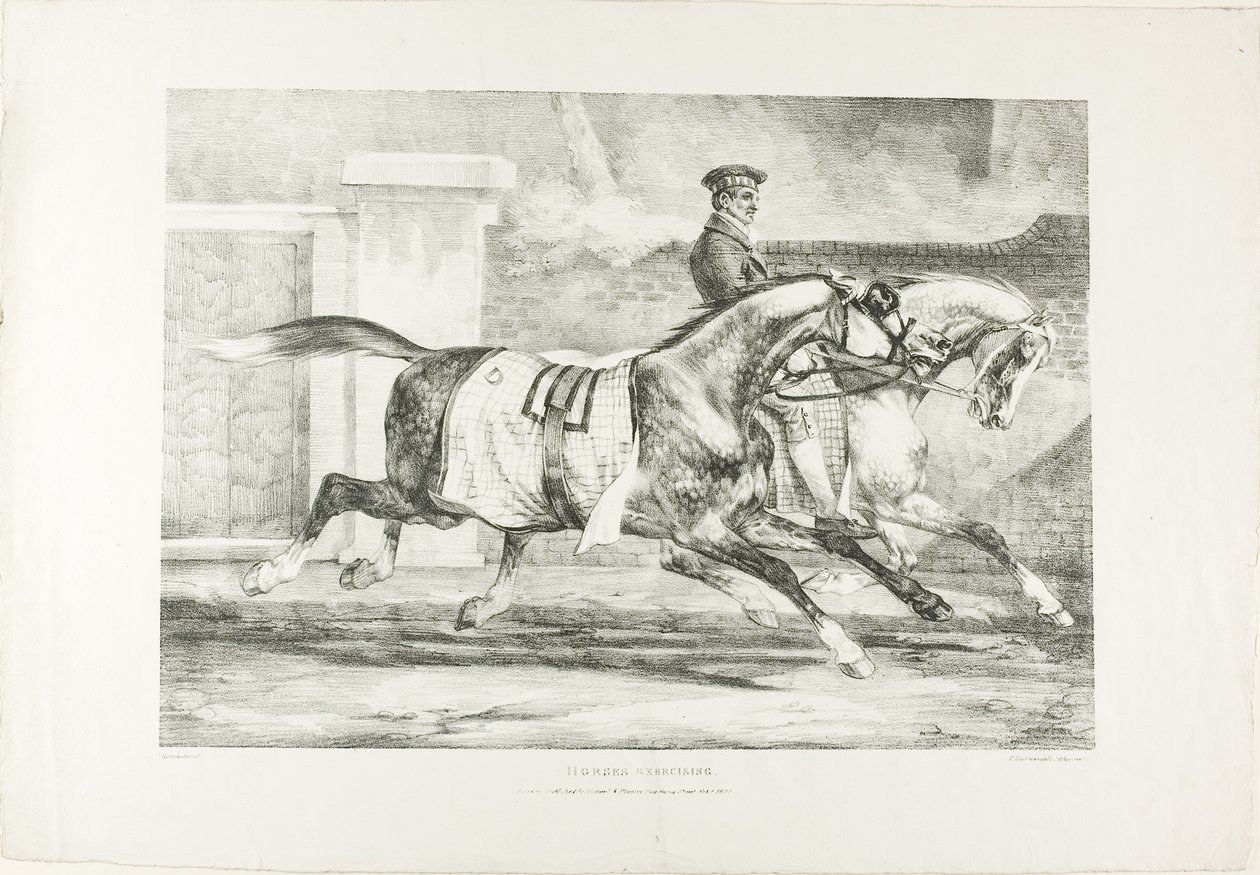 Paarden in beweging, plaat 6 van Diverse onderwerpen Naar het leven getekend op steen door Jean Louis André Théodore Géricault
