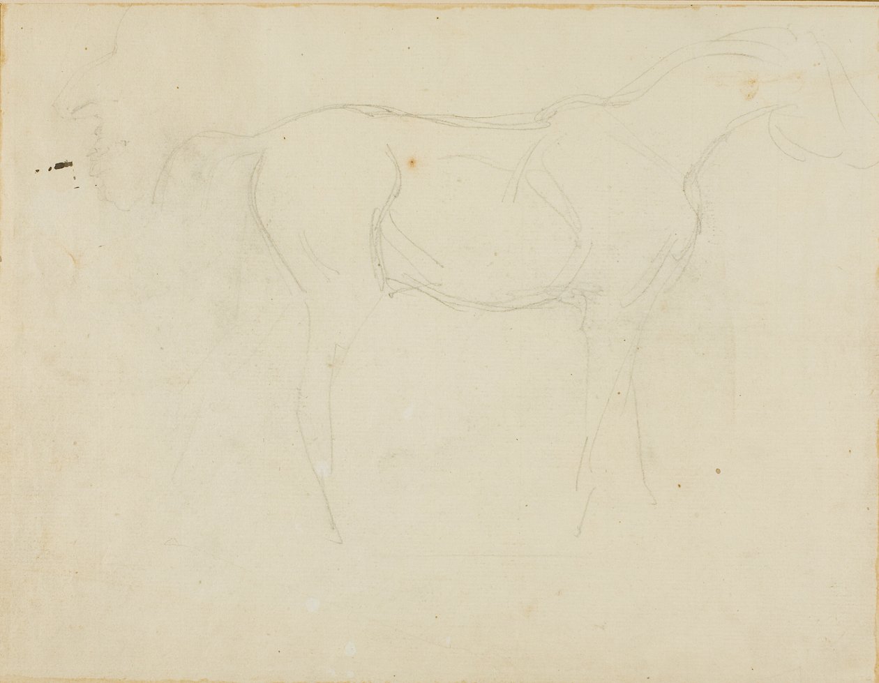 Schets van een paard naar rechts en een karikatuur in profiel door Jean Louis André Théodore Géricault