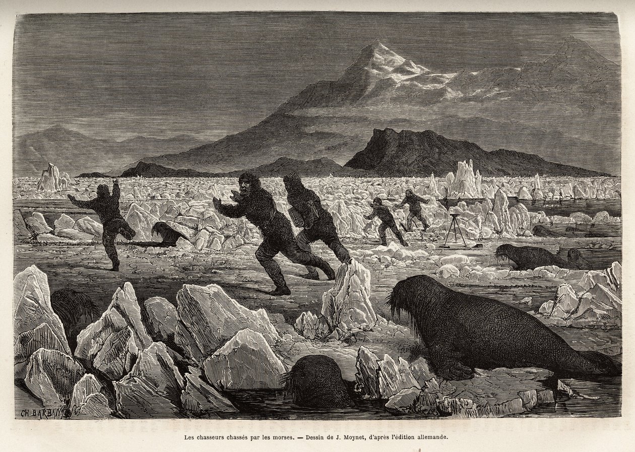 Een deel van de bemanning van het schip La Germania, op de Clavering-eilanden, afgedaald op het ijs om te jagen, werden zelf opgejaagd door walrussen die uit het water kwamen, gegraveerd naar de tekening van J.Moynet, ter illustratie van een reis naar de N door Jean Pierre Moynet