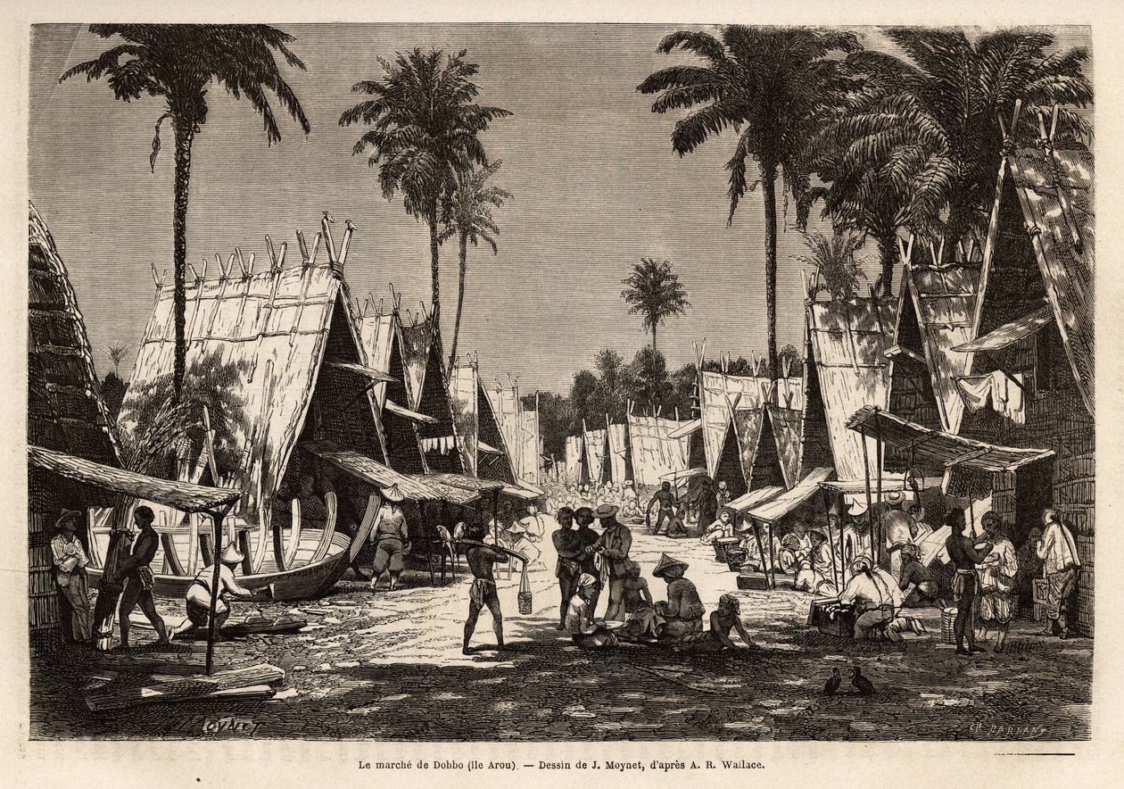 De mars van Dobbo, op het eiland Arou, een havencentrum, geanimeerd door vele kooplieden en scheepsbouw, gegraveerd naar de tekening van J. Moynet, ter illustratie van de reis naar de Maleisische archipel in 1854-1862, door Alfred Russell Wallace (1823-191 door Jean Pierre Moynet