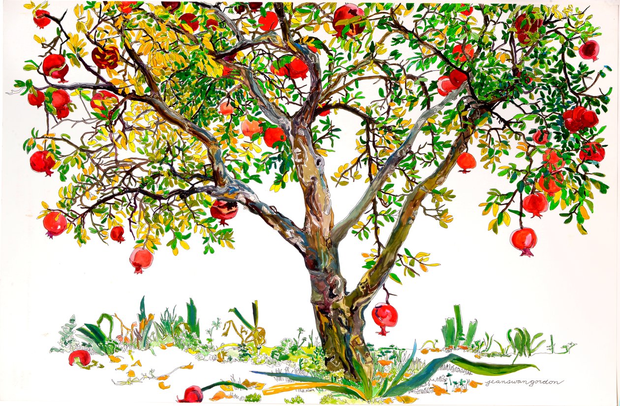 Granaatappelboom, Monte Sereno (aquarel en inkt op papier) door Jean Swan Gordon