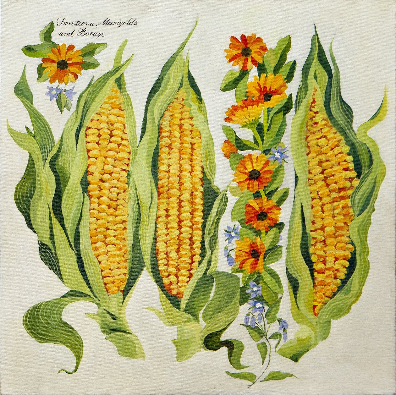 Maïs en mergbloemen, 2014 (acryl op doek) door Jennifer Abbott
