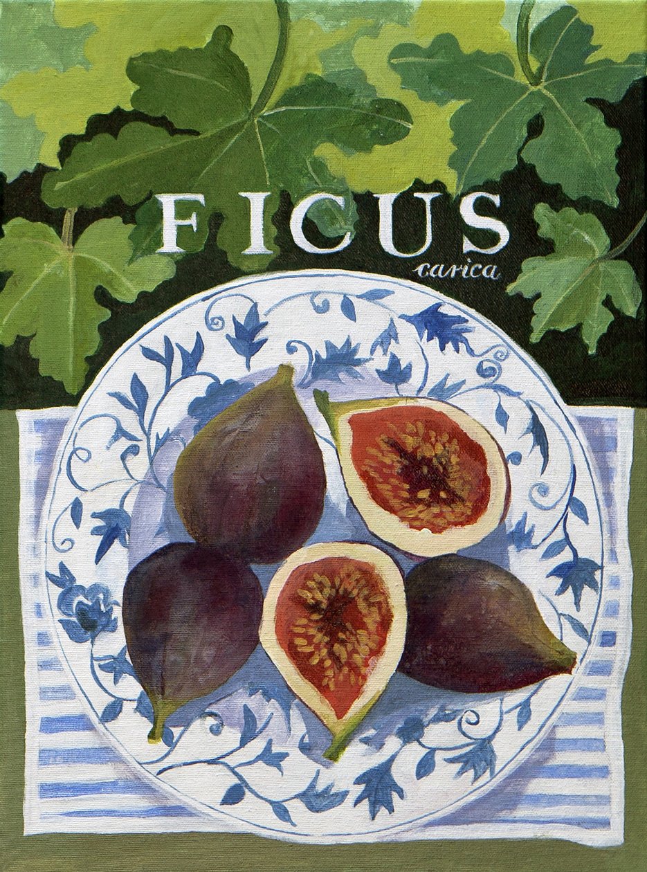 Fieus (vijgen), 2014 (acryl op doek) door Jennifer Abbott