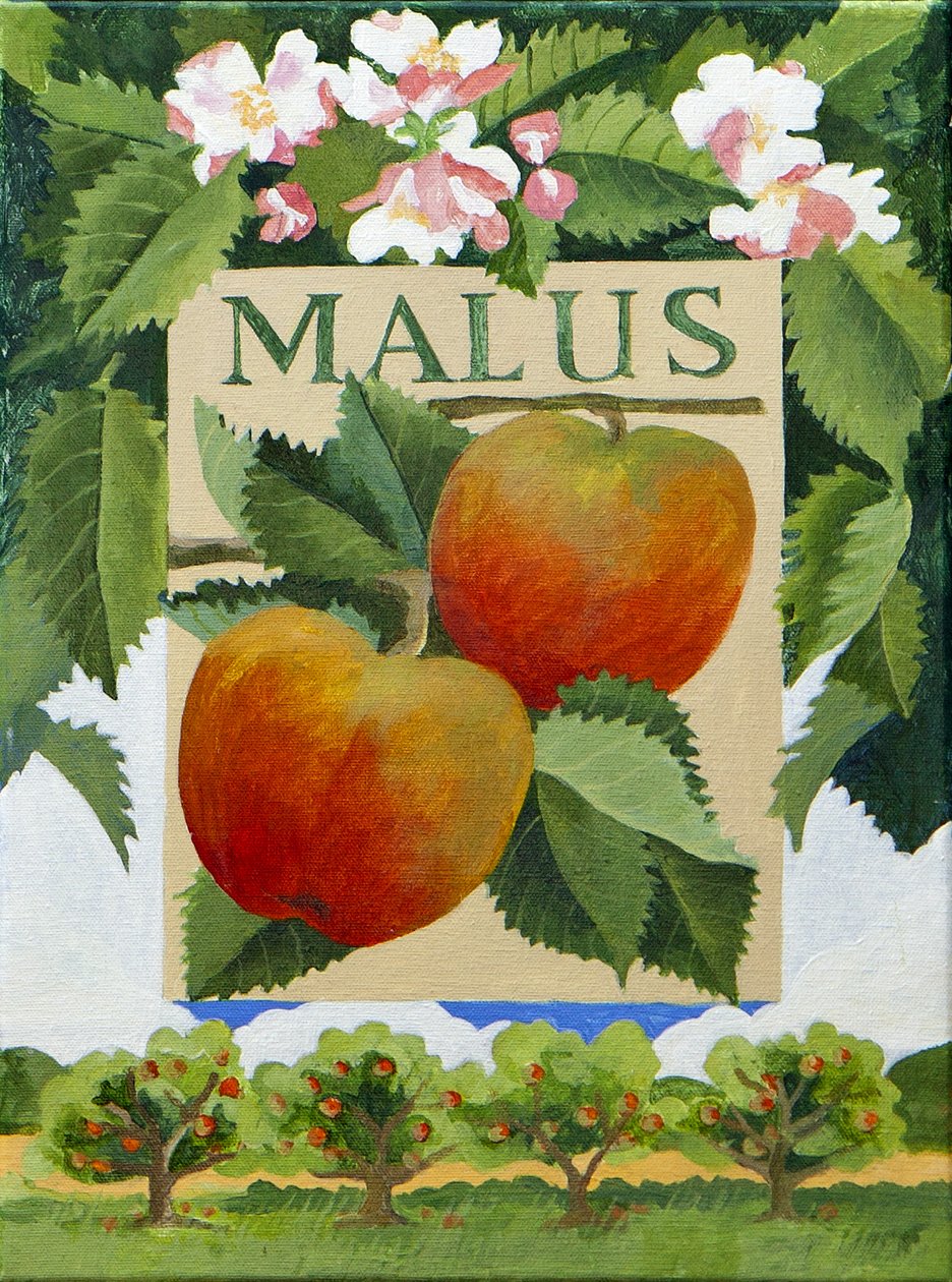 Malus (appel), 2014 (acryl op doek) door Jennifer Abbott