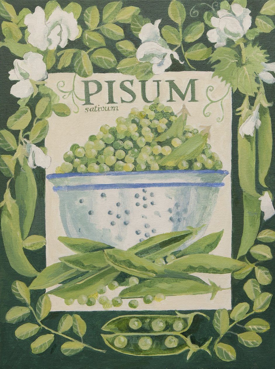 Pisum, erwten (acryl) door Jennifer Abbott
