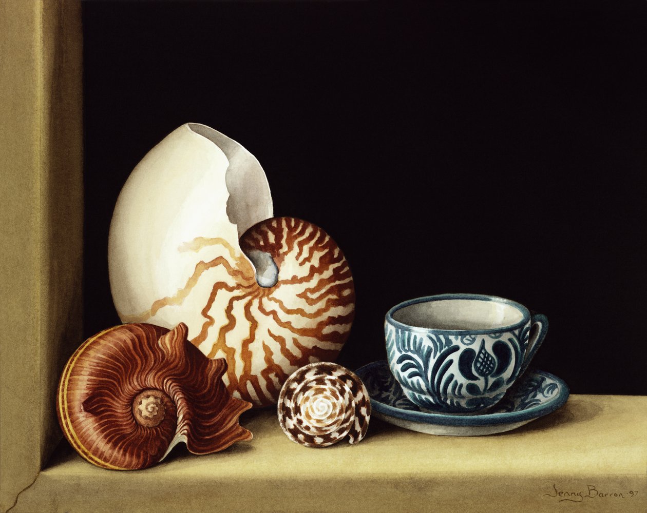 Stilleven met Nautilus, 1998 door Jenny Barron