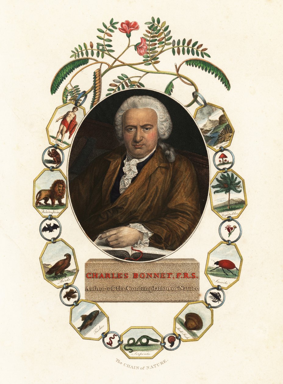Portret van Charles Bonnet, Geneefse natuuronderzoeker door Jens Juel