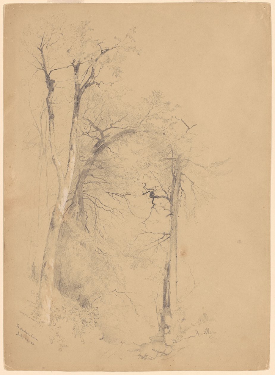 Kauterskill Kloof door Jervis McEntee