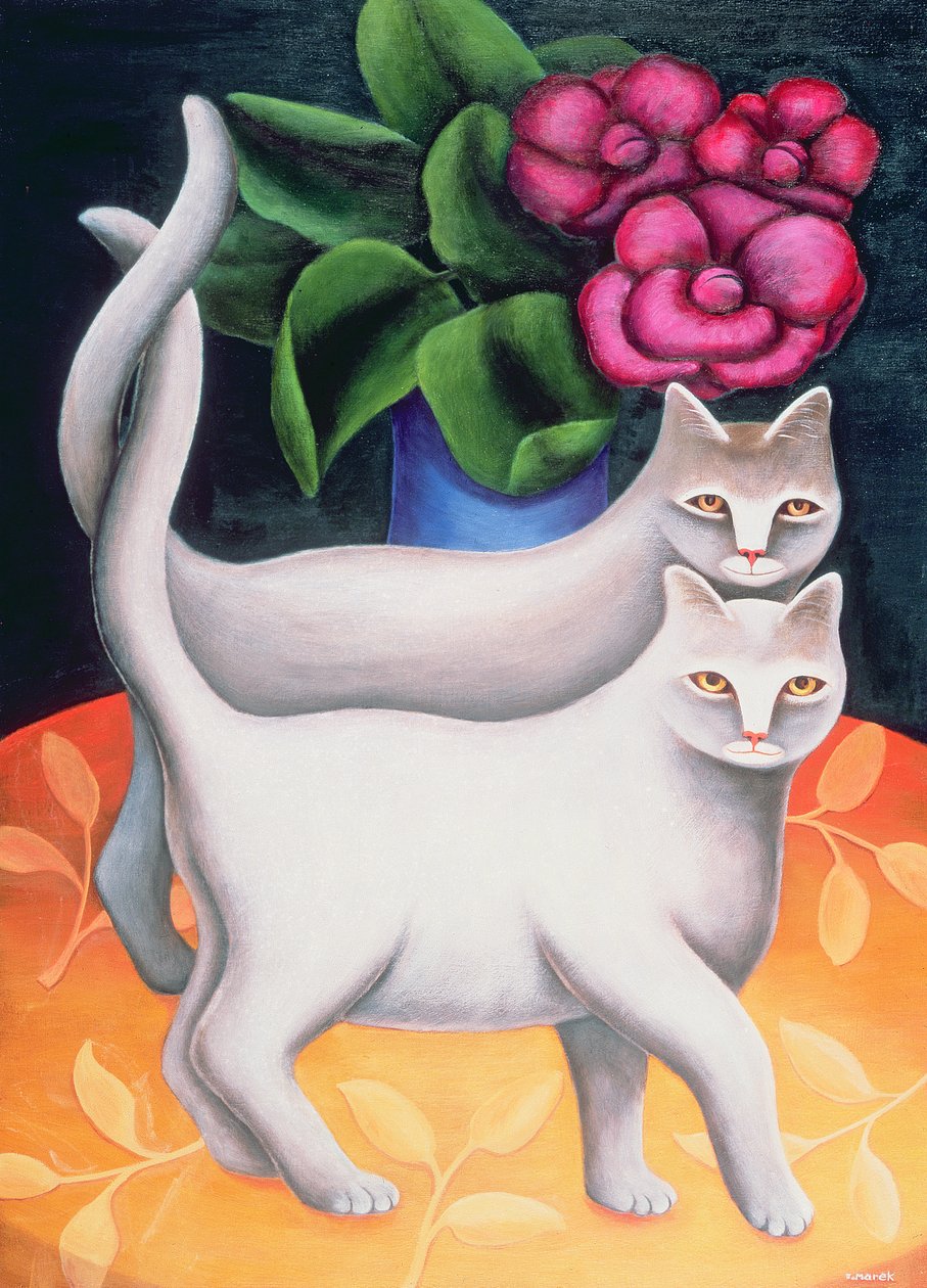 Tango door Jerzy Marek