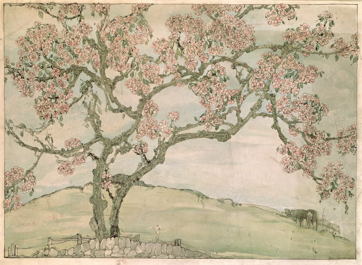 Appelbloesem door Jessie Marion King